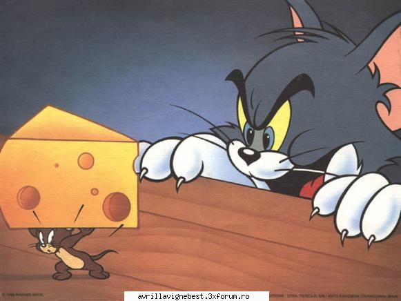 desene animate:X - dar mereu Tom & Jerry vor fi pe primul loc - LET'S TALK