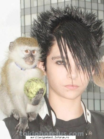 poze funny - fana TH' - Tokio Hotel