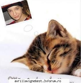 :nebun:  :nebun:  :nebun: poze trucate